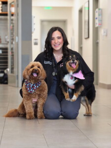 Orlando Mag Pet Safe Image